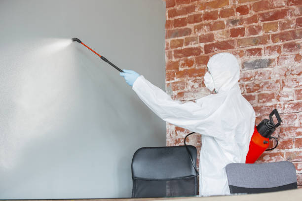 Bloomfield, IN Mold Removal Company