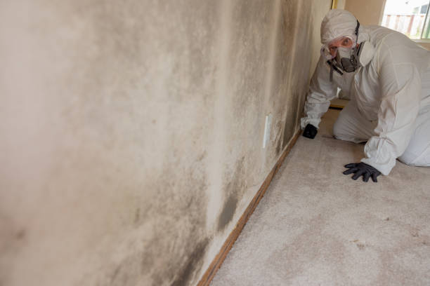 Best Real Estate Mold Inspection  in Bloomfield, IN